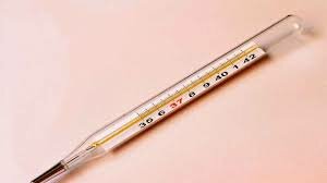 CLINICAL THERMOMETER