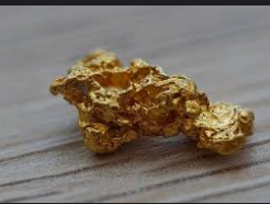 The California Gold Rush