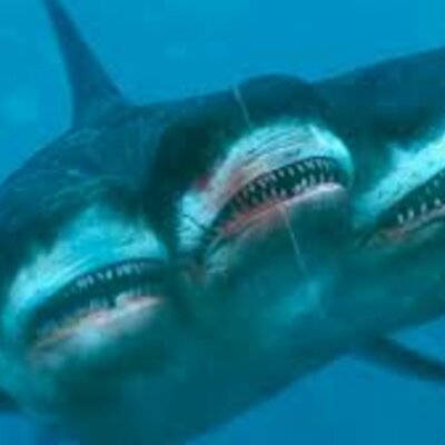 Timeline: Tiempo de Vida de los tiburones