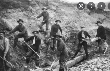 The california gold rush