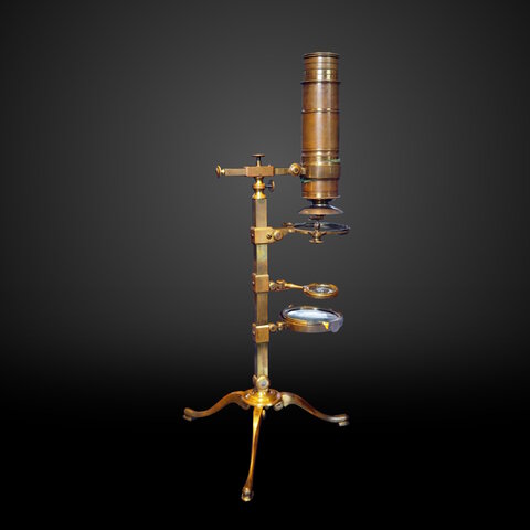 Compound Microscope