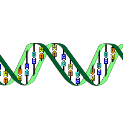 Timeline: LA HISTORIA DEL ADN- sara lamprea