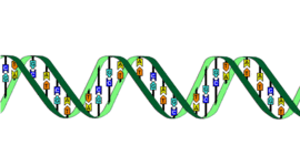 Timeline: LA HISTORIA DEL ADN- sara lamprea