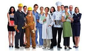 Los servicios profesionales