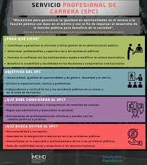 El servicio profesional de carrera en México