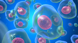 Timeline: Acontecimiento de la teoría celular (AROA)