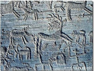 Incisione di animale val camonica