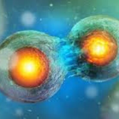 Timeline: Historia de la biología y la reproducción celular