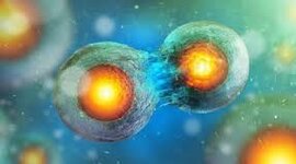 Timeline: Historia de la biología y la reproducción celular