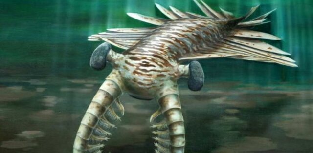 Aparició de grans artròpodes depredadors