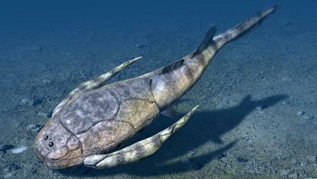 Aparició dels peixos sense mandíbules