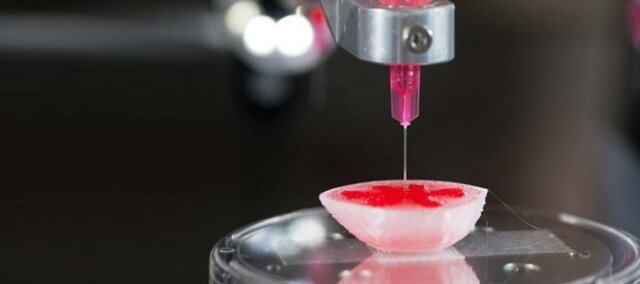 Un Riñón 3D en Funcionamiento