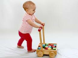 Toddler- Physical Development