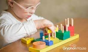 Toddler- Cognitive Development