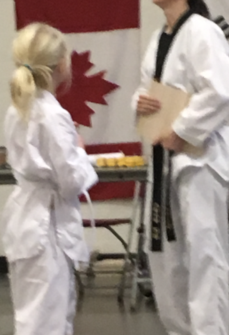 Mon premier niveau de Taekwando.