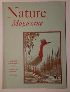 La revista científica Nature pública un texto.