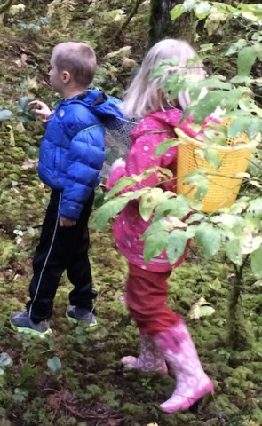 Chercher des champignons