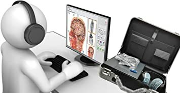 Sistema NLS (sistema en linea)