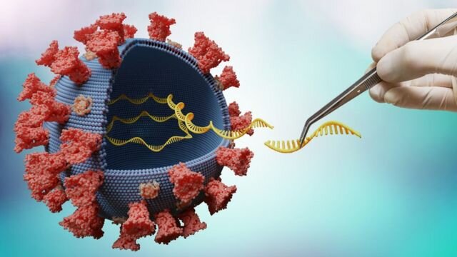 Primer caso de la variante Alpha-CoV en Nuea Zelanda