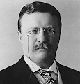 Theodore Roosevelt es electo para servir como presidente