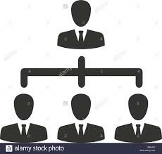 Nuevo esquema jerárquico