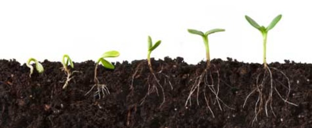 Breaking the Surface