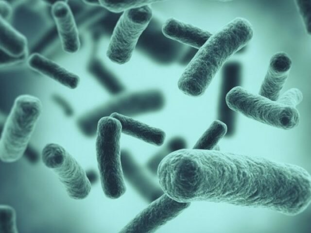 Formación de la primera vida