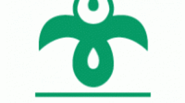 Timeline: Az MDF története