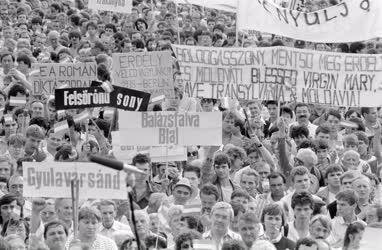 Romániai falurombolás elleni tüntetés