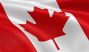 What is Mitch Marners background