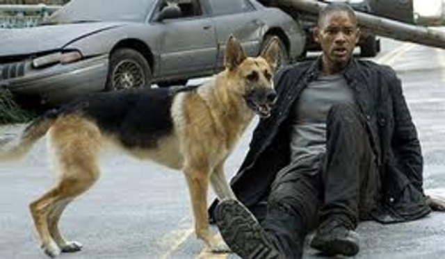 Will Smith stars in I Am Legend practically by himself, he holds the screen alone for over an hour almost.