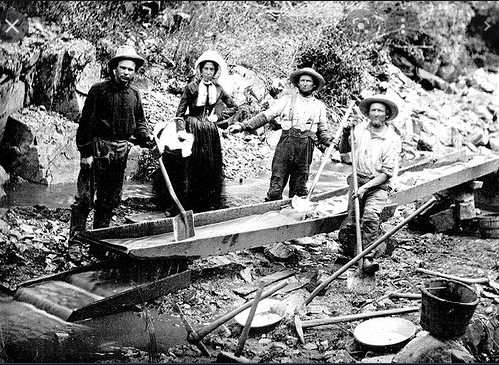 California Gold Rush War 49ers