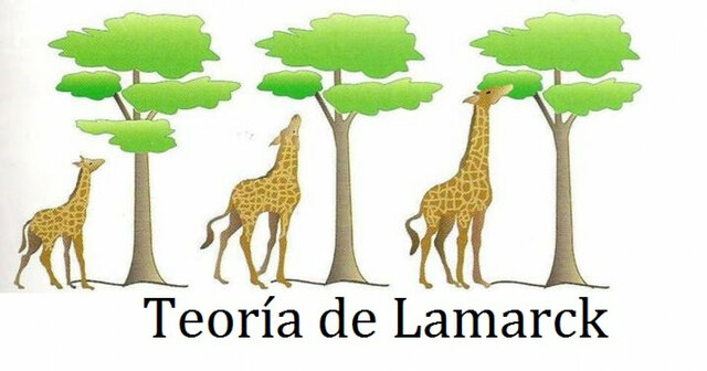 Lamarck crea su teoría de la evolución