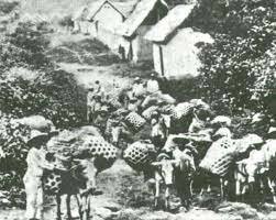 LA EXPANSION CAFETERA