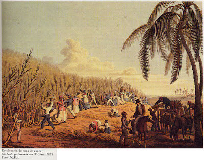 DESARROLLO AGROPECUARIO