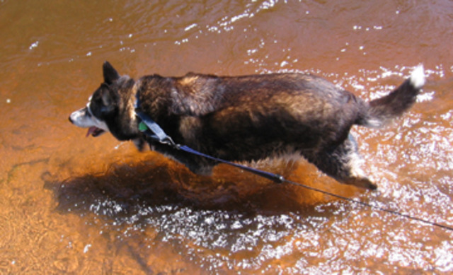 Isabelle Knockwood writes a book about her time at the Shubenacadie Indian Residential School