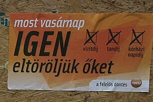 Szociális népszavazás- veszteség