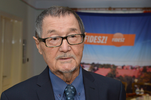 Második pártszakadás: Polgári platform