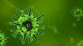 Timeline: La pandemia COVID-19