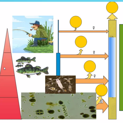 Timeline: Época de la Historia.