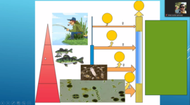 Timeline: Época de la Historia.
