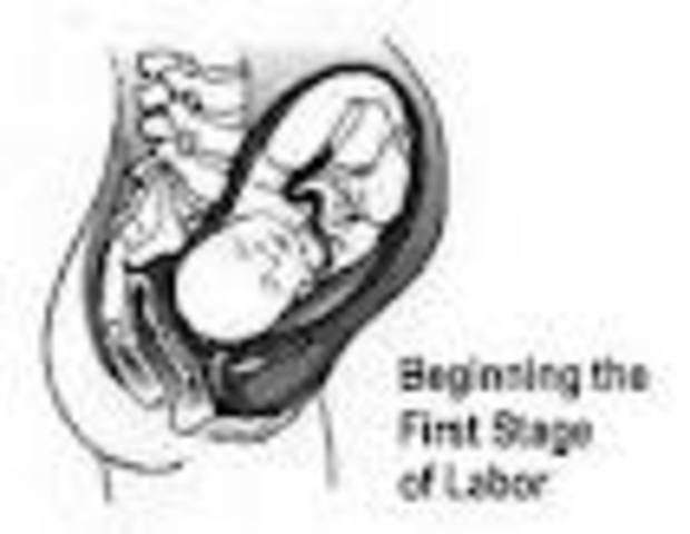 First Stage of Labor