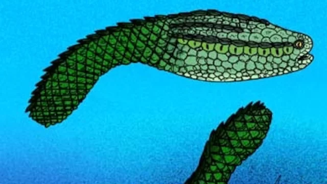 Diversificació primer grup de vertebrats: peixos sense mandíbules