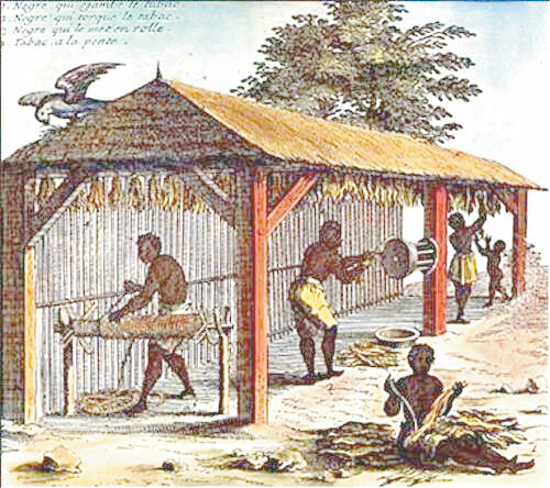 DIERON INICIO FORMAL A SU TRABAJO CON LOS INDIOS DEL NUEVO REINO DE GRANADA