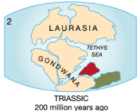 125 million years ago