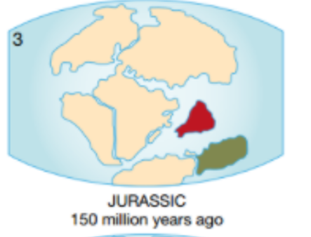 85 million years ago