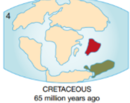 65 million years ago