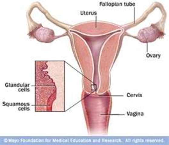 First Stage of Labor