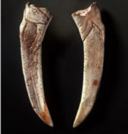 Espátula Magdaliense con Representación de Cabra