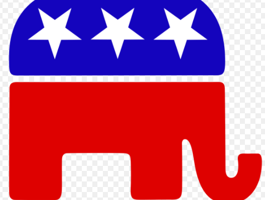 Republican group started